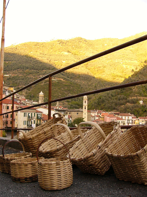 Cestini per la Raccolta
